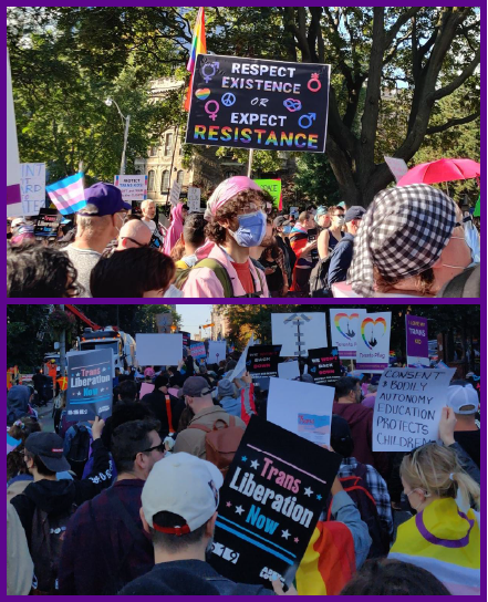 Signs at a counter protest, one says "RESPECT EXISTENCE OR EXPECT RESISTANCE", another says "TRANS LIBERATION NOW"